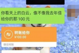 开平遇到恶意拖欠？专业追讨公司帮您解决烦恼